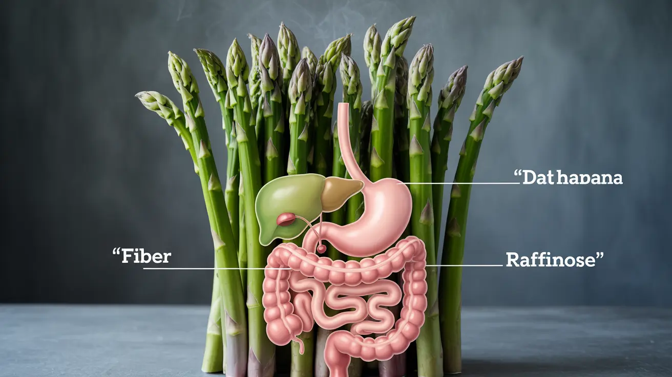 asparagus-gas-digestive-effects-post-image
