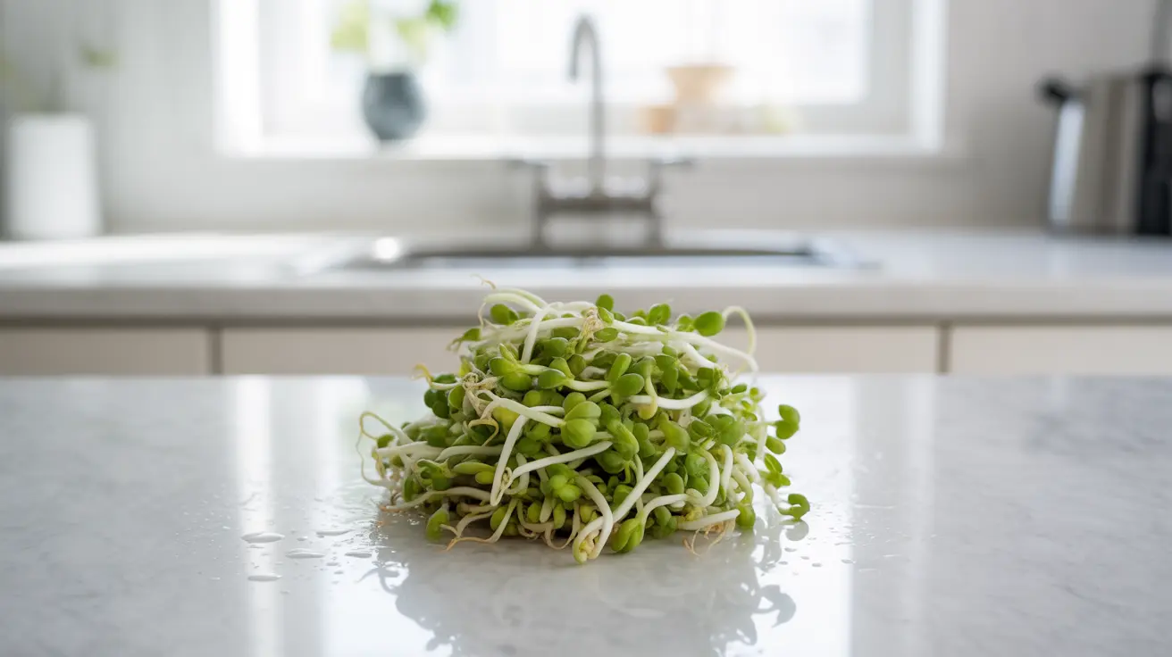 Close-up shot of fresh bean sprouts on a kitchen counter in bright daylight, highlighting their freshness and texture.