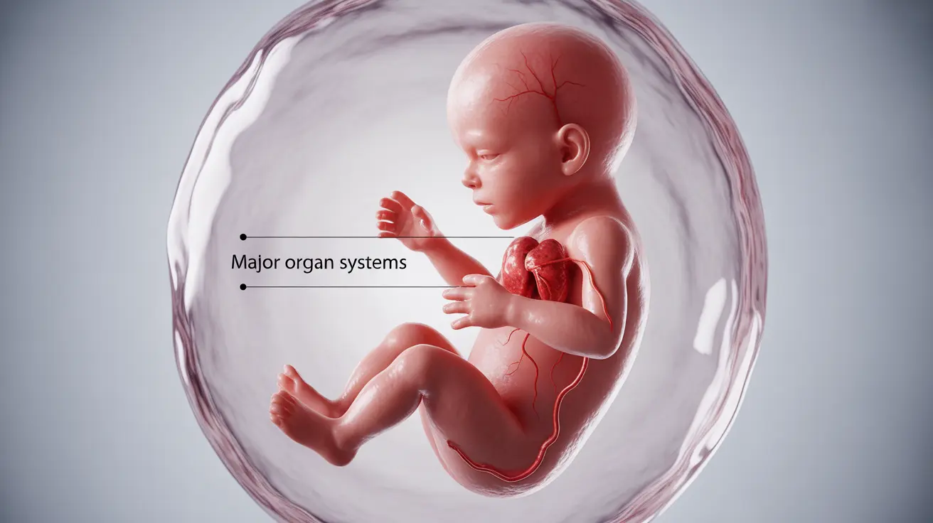 2-month-pregnant-guide-symptoms-post-image