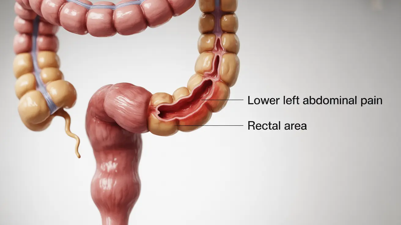 Detailed illustration of the human gastrointestinal tract highlighting pain areas associated with ulcerative colitis, against a clean white background.