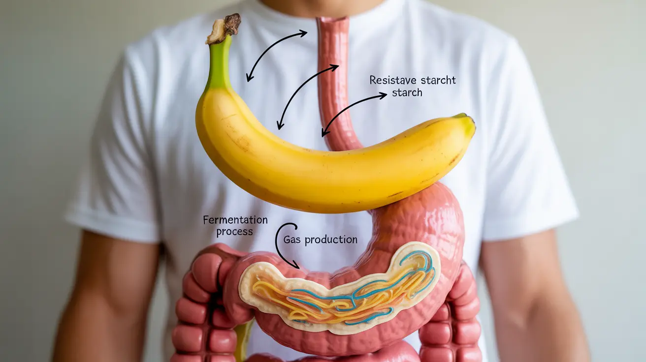 do-bananas-cause-gas-post-image