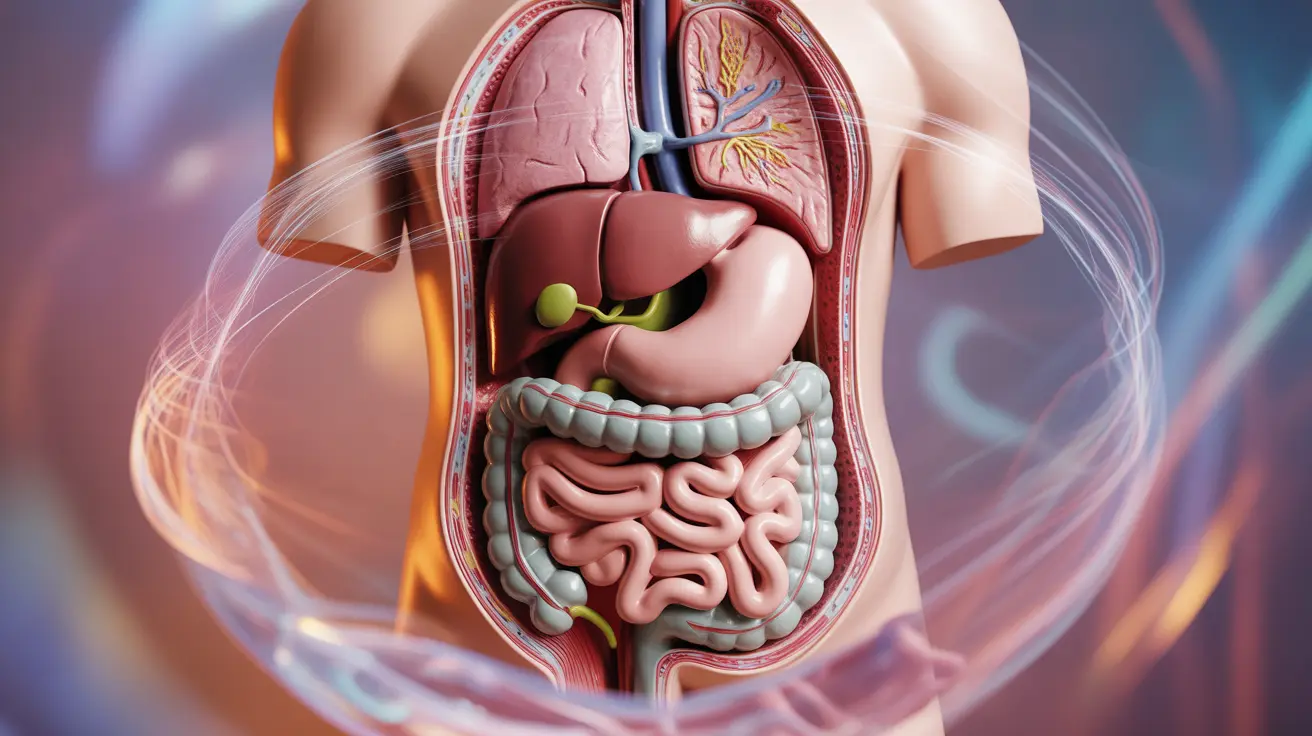 Detailed illustration of the human digestive system, highlighting interactions of THC and CBD with the gut against an abstract background representing the endocannabinoid system.