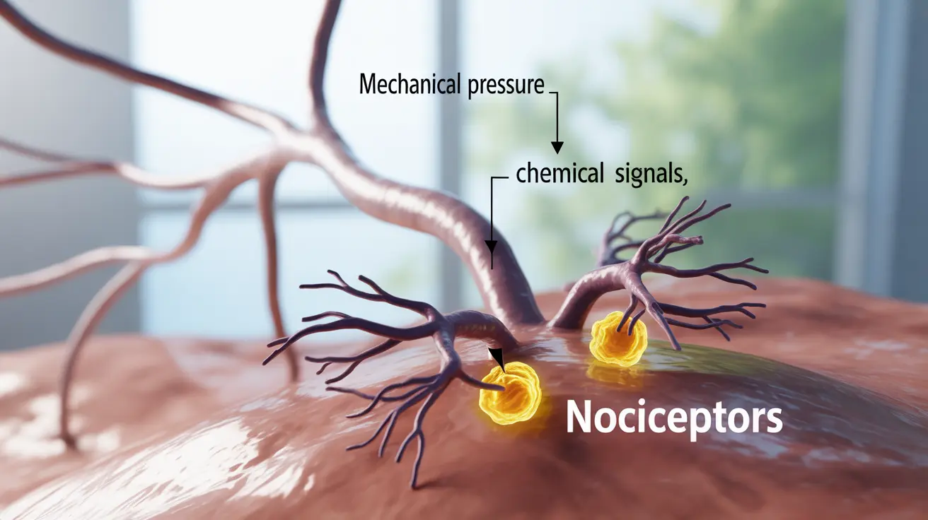 nociceptive-pain-causes-treatment-post-image
