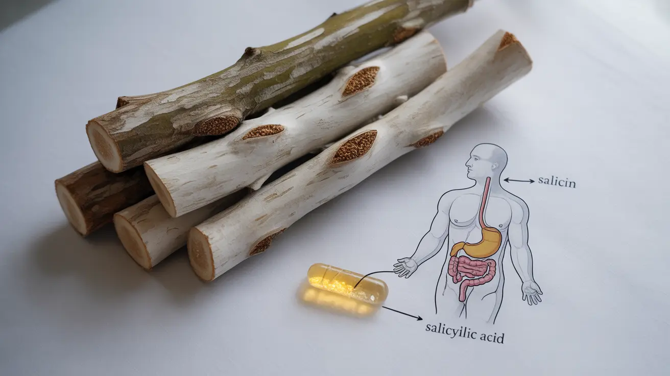 white-willow-bark-benefits-post-image